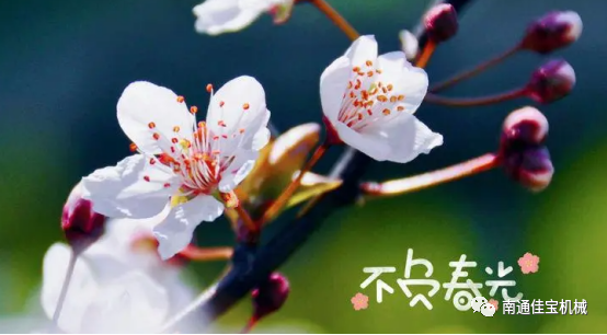 每一个春天都会如约而至，南通佳宝与您同在